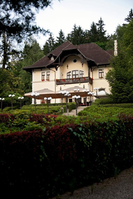 Vila Herberstein Velenje Exterior foto